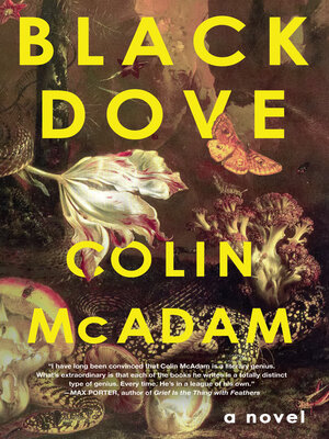 cover image of Black Dove